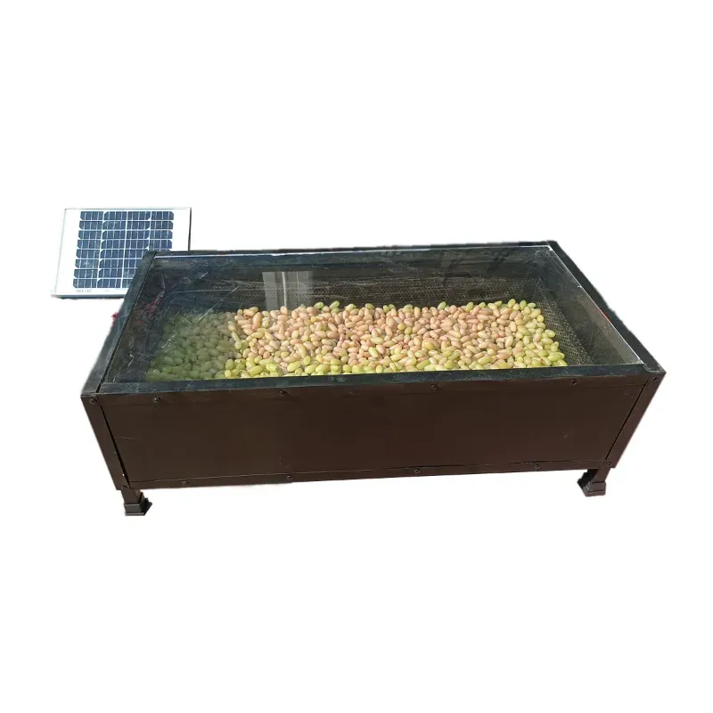 15 kg Solar Dryer with 10 W 12 V Solar Panel for Drying Vegetable, Fruit and Non Veg Item