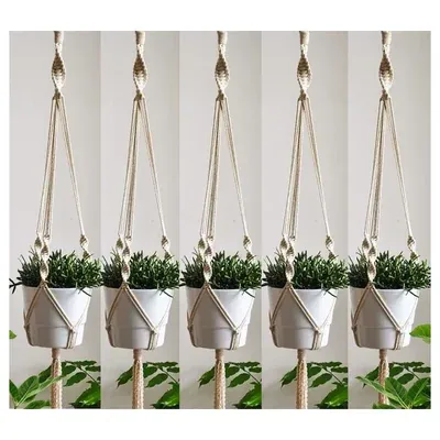 Ecofynd Handwoven Cotton Macrame Hanging Planter for Beautiful Home & Garden Decor (Pack of 5)