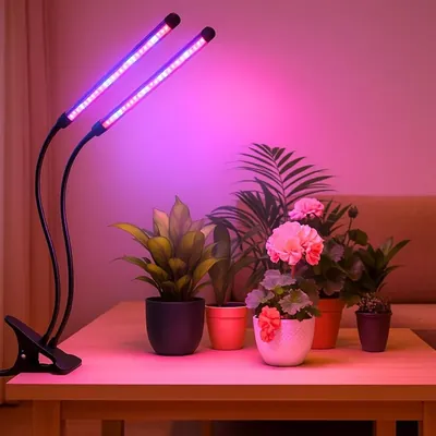Ecofynd Bluma Grow Light for Indoor Plants (Herbs, Leafy Plants & Flowering), Auto On/Off Automatic Timer
