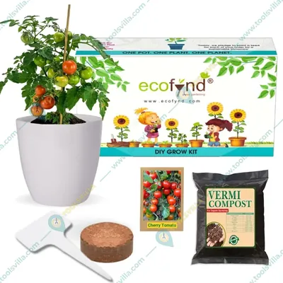 Ecofynd GROWKIT011 DIY Grow Kit for Cherry Tomato DIY Easy Grow Kit for Home and Garden Beginner Gardening Set