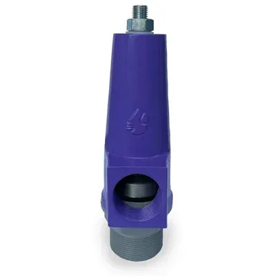 My Irigacio World 2 Inch Male Thread Connection Pressure Release Valve for Irrigation Use