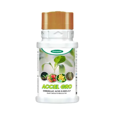 Katyayani Accel gro, Gibberellic Acid 0.186% S.P, Plant Growth Regulator, 500 g (Pack-1 x 500 g)