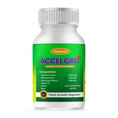 Katyayani Accel Gro Plus, Gibberellic Acid 40% WSG, Plant Growth Regulator, 6 g (Pack-4 x 6 g)