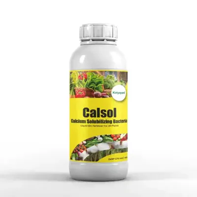 Katyayani Calsol, Calcium Solubilizing Bacteria, Bio Fertilizer, 1 Litre (Pack-1 x 1 Litre)