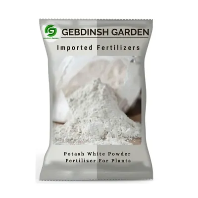 GEBDINSH White Potash Powder 500 Gram Farm & Garden Fertilizer Water Soluble Fruit & Flower Growth Booster