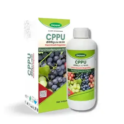 Katyayani Forchlorfenuron-0-1-cppu, Plant Growth Regulator, 250 ml (Pack-1 x 250 ml)