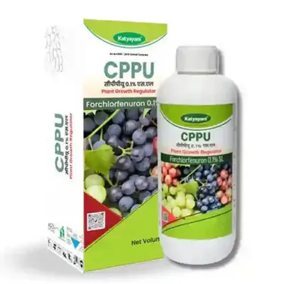 Katyayani Forchlorfenuron-0-1-cppu, Plant Growth Regulator, 1 Litre (Pack-1 x 1 Litre)