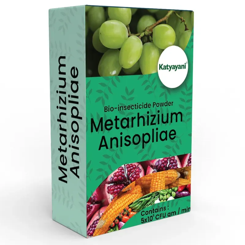 Katyayani Metarhizium Anisopliae, Bio Insecticide Powder, 1 kg (Pack-1 x 1 kg)