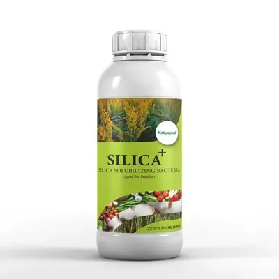 Katyayani Silica+, Silica Solubilizing Bacteria, Bio Fertilizer, 1 Litre (Pack-1 x 1 Litre)