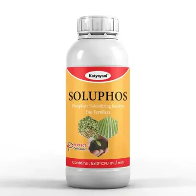 Katyayani Soluphos, Phosphate Solubilizing Bacteria, Bio Fertilizer, 1 Litre (Pack-1 x 1 Litre)
