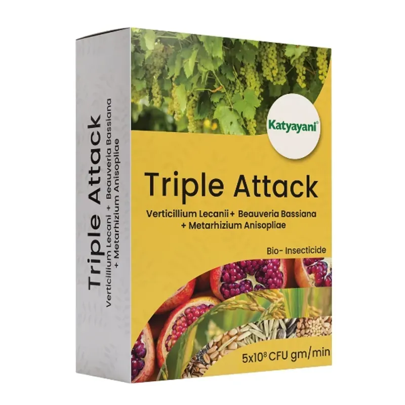Katyayani Triple Attack, Verticillium Lecanii + Beauveria Bassiana + Metarhizium Anisopliae Powder, 1 kg (Pack-1 x 1 kg)