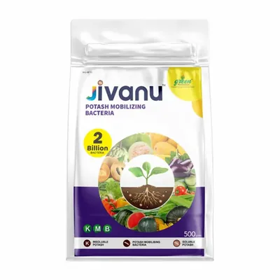 Green Revolution Jivanu 500 g KMB Potassium Solubilizing and Mobilizing Bacteria Powder