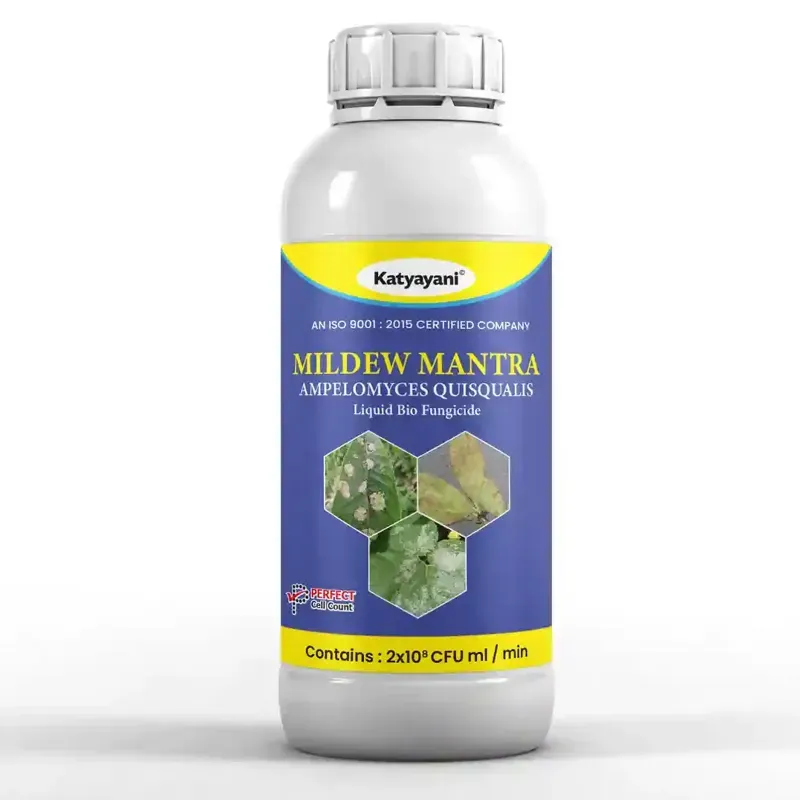 Katyayani Mildew Mantra Ampelomyces Quisqualis Liquid Bio Fungicide Organic Solution For Controlling Plant disease (Quantity-1 Litre)