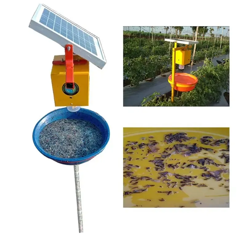 3 W Solar Insect Trap For Agricultural Purpose