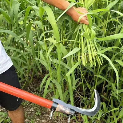DAP 2 cm Professional Curved Sickle Blade Attachment for Brush Cutter, High-Strength Steel, Dual Clamp & Grass Trimmer