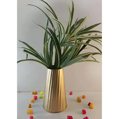 Versatile Metal Vase Ideal for Fresh & Artificial Flowers (Pack of 2)