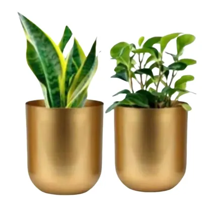 Ecofynd Gold Finish Elegant Metal Planter for Table Indoor Plants, Ideal for Gifting and Home Decor