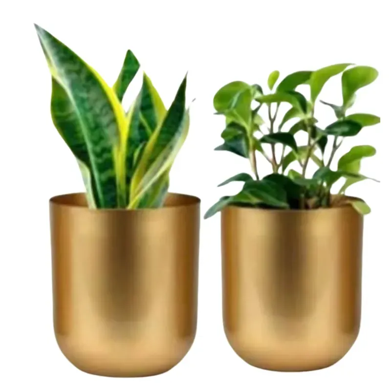 Ecofynd Gold Finish Elegant Metal Planter for Table Indoor Plants, Ideal for Gifting and Home Decor