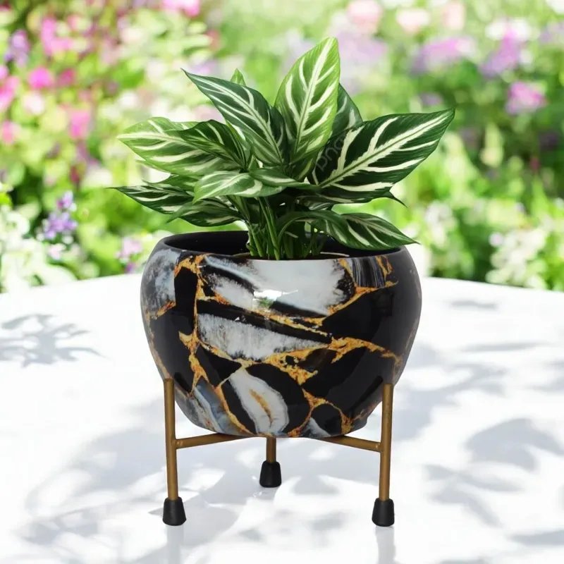 Ecofynd Lio Black Metal Planter Pot with Gold Stand, Modern Style Planter Set for Indoor Outdoor Home Decor