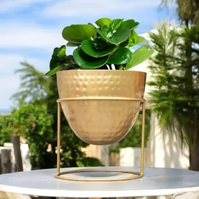 Ecofynd 6 Inch Golden Metal Planter Pot with Stand, Used for Indoor Home & Garden Decoration