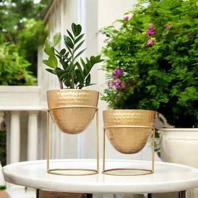 Ecofynd 6 Inch Golden Metal Plant Pot with Stand, Pack of 2 Planter for Indoor Decoration