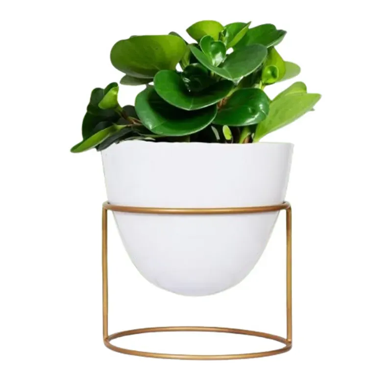 Ecofynd 6 Inch White Metal Planter Pot with Stand, Used for Indoor Home & Garden Decoration