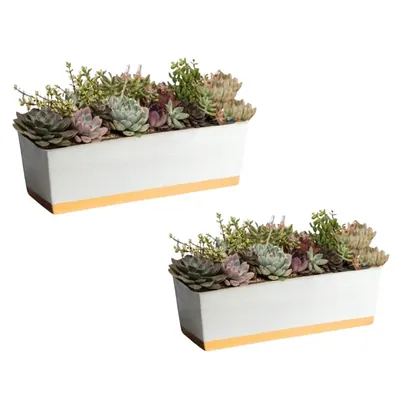 Ecofynd 16 Inch Rectangular Metal Planter Pots, White, Pack of 2 (POT042-WHT)