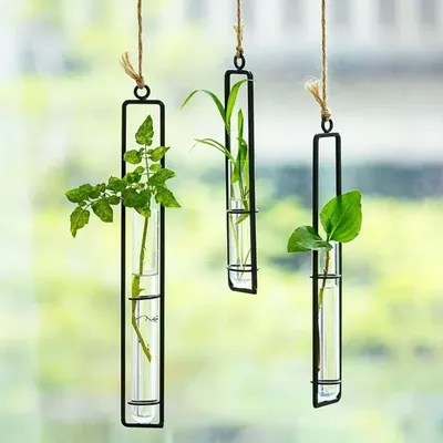 Ecofynd TTP011 Stylish Metal Wall Hanging Test Tube Planter for Elegant Indoor Decor (Pack of 3)