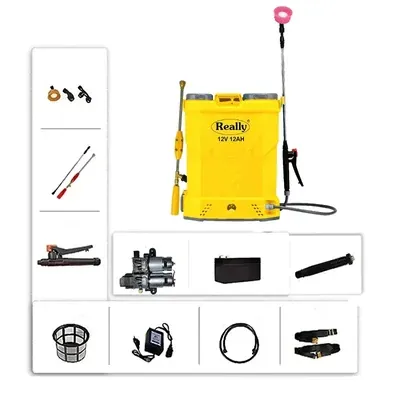 Really RAPL-20DM-12A, 20 L Double Motor Battery Operated Sprayer (12 V/12A)