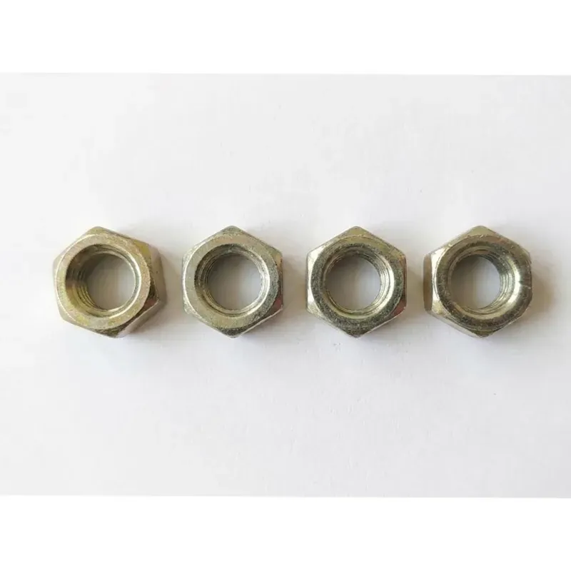 ASPEE M.S. Hex Nut 5/16 Inch (PP4/017) For Aspee Marut 6 L Hand Operated Compression Sprayer (Pack of 10)