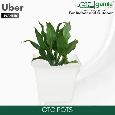 GTC 8 Inch Multi Color Uber Pot Modern Decorative Pots for Stylish Spaces, Home Decoration, Gardens (Pack of 3)(Color-White)