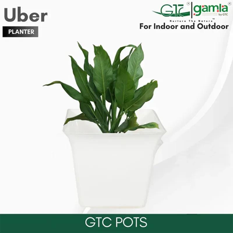 GTC 8 Inch Multi Color Uber Pot Modern Decorative Pots for Stylish Spaces, Home Decoration, Gardens (Pack of 3)(Color-White)