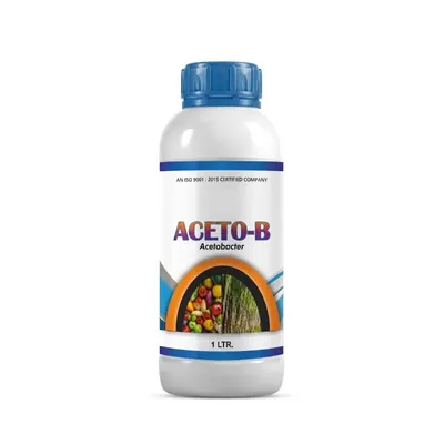 NSBCS Acetobacter (1 Litre) Fast Absorption Plant Nutrient High Yield