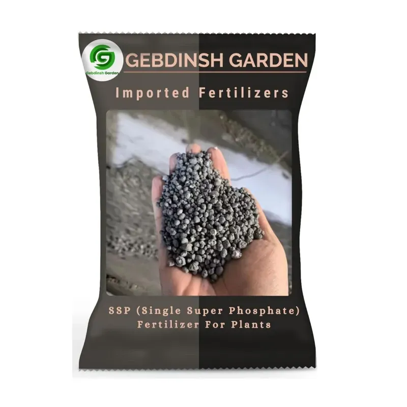 GEBDINSH 1 kg Single Super Phosphate Organic Plant Fertilizer Fast Growth 1 Pc