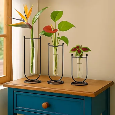 Ecofynd Glass Test Tube Hydroponics Planter with Metal Frame Stand For Living Room Decor (Set of 3, Black)