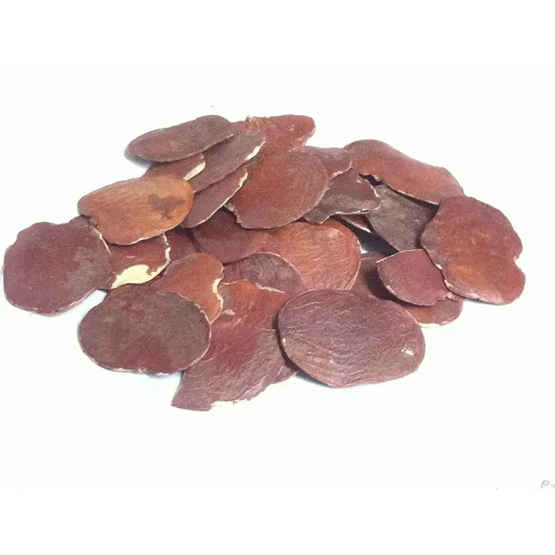 Pioneer Agro Butea monosperma (Moduga/ Flame of forest) Palash Flower Tree Seeds 100G