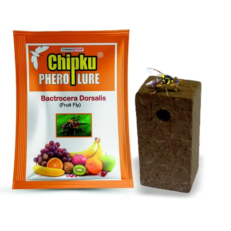 Chipku Pheromone Fruit Fly Lure For Fruit Fly Insect Trap (Bactocera Dorsalis)(Pack-Pack of 5)
