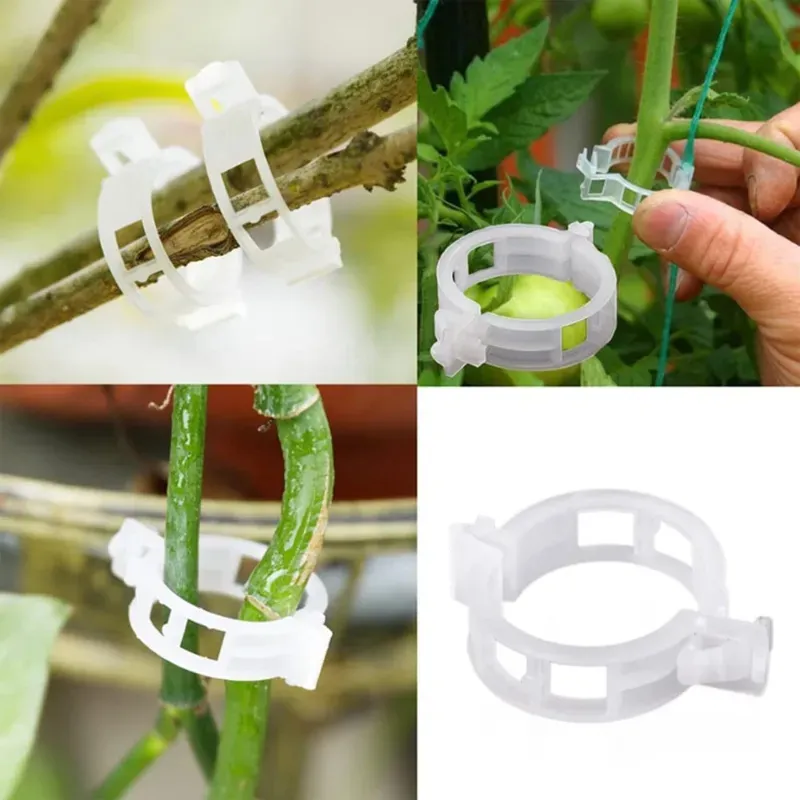 Ecofynd Plant Support Garden Clips/Trellis Clips for Vines, Vegetables, Flower for Upright Plant Support (Pack of 200)