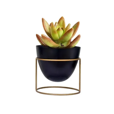 Ecofynd 6 Inch Black Metal Planter Pot with Stand, Used for Indoor Home & Garden Decoration