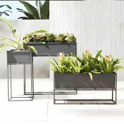Heavy Duty Metal Plant Stands, Anti-Rust Durable Rack for Home, Garden & Balcony Decor (Pack of 3)