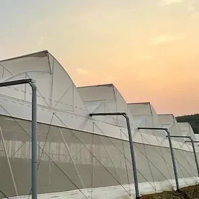 205N 200 Micron, 5 layers Sun Cover, Suitable for Agriculture and Gardening (Size-5.5 m x 50 m)