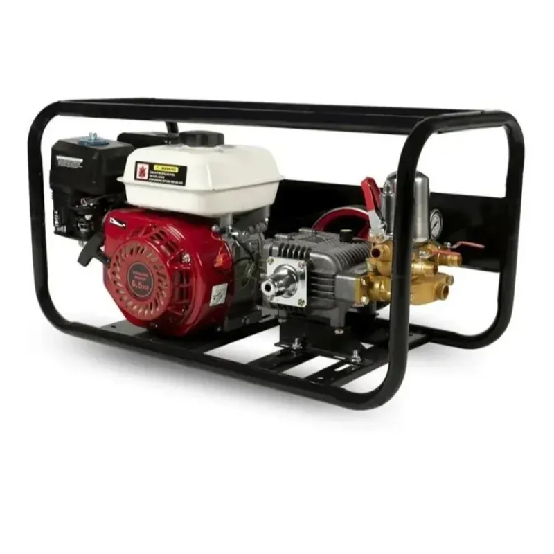 Really RAPL-PS-168F-B3-50, Portable Power Sprayer used for Agriculture Purposes
