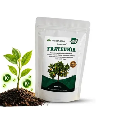 Pioneer Agro 1 kg Frateuria Potassium Solubilizing Bacteria Biofertilizer for Agriculture, Gardening