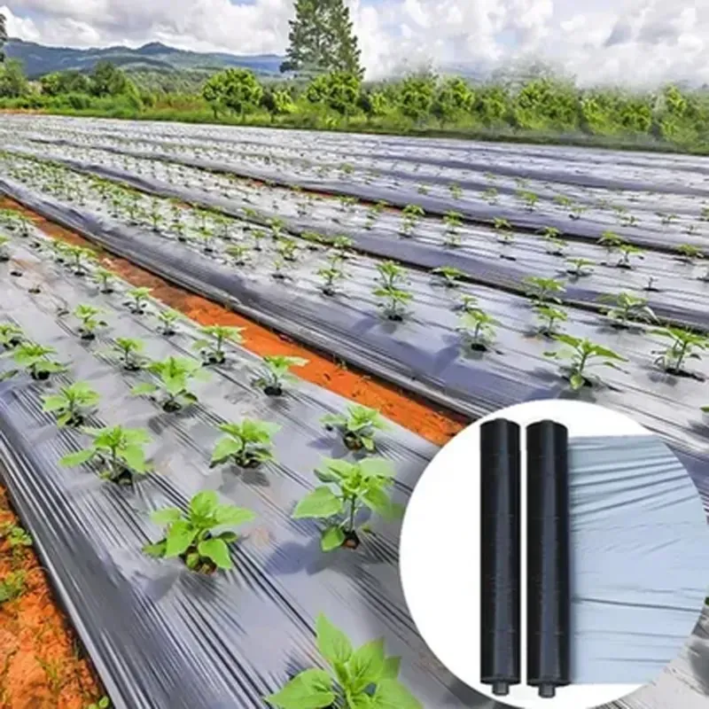 Anil Mulching Film 30 Micron 4 ft x 400 m Weed Control Film UV Stabilized Silver Black Agriculture Sheet