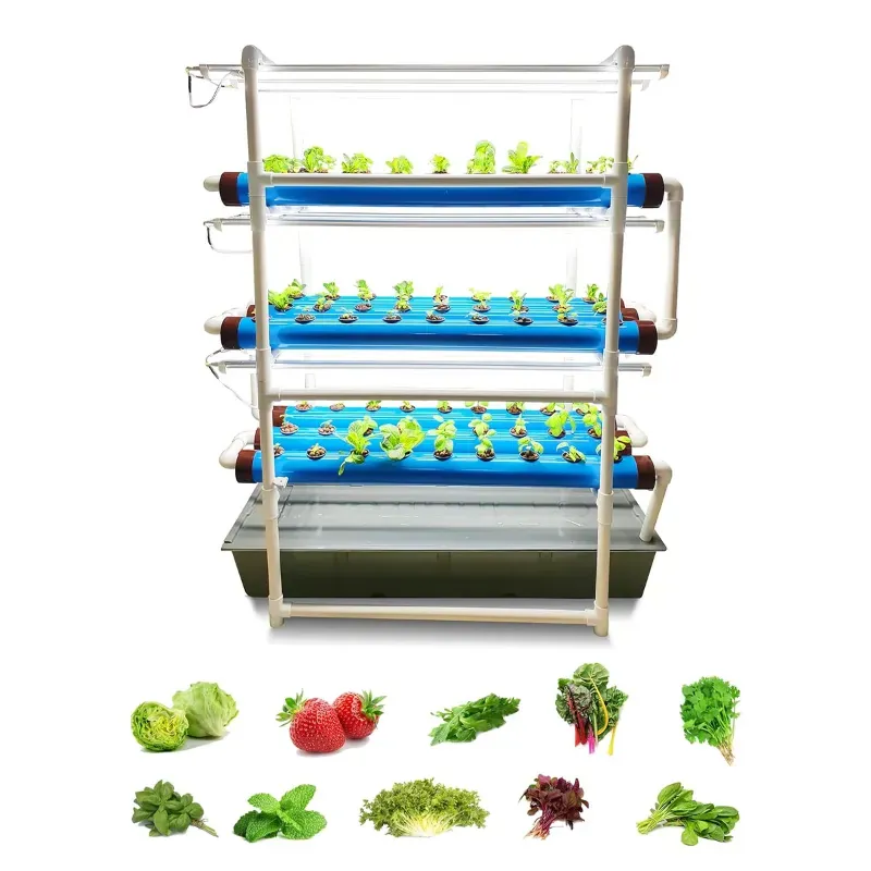 PINDFRESH Hydroponics Kit For Indoor & Outdoor Tashi Home Set-Up With Grow Lights For Growing Leafy Greens (Premium)