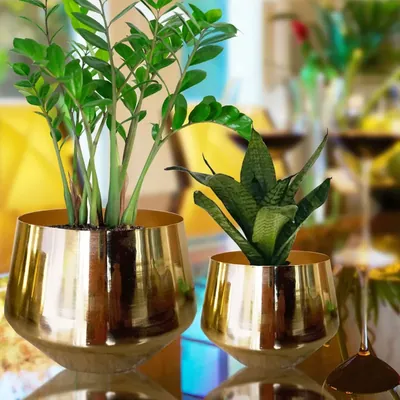 Ecofynd 5 Inch Eion Jr Metal Plant Pot, Indoor Decorative Modern for Living Room Bedroom Interior, Pack of 2 (Gold)