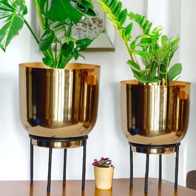 Ecofynd PWS027 Durable and Stylish Metal Plant Pot with Stand for Indoor and Outdoor Spaces (Pack of 2)
