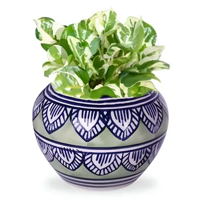 Ecofynd Designer Ceramic Planter Pot with Printed Leaf-like Motifs, Used for Home and Garden Decoration