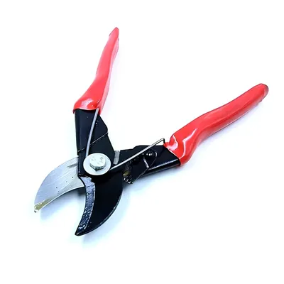 Plant Cutter/Pruning Shear, Garden Tools for Home, Gardening Scissors (Pack of 2 Pieces)