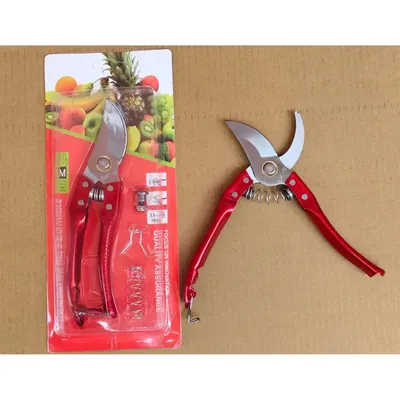 DAP Premium SK5 Steel Pruning Shears Sharp Bypass Pruner with Spring & Lock Ideal for Plants, Flowers & Branch Cutting